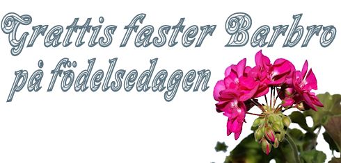 Grattis faster Barbro p fdelsedagen