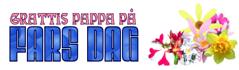 Grattis Pappa p Fars Dag