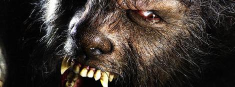 Wolfman 1
