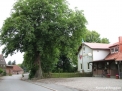 Tysk gemytlighet Tysk gemytlighet
