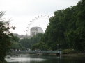 IMG_2438.jpg IMG_2438.jpg