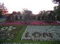 IMG_2622.jpg IMG_2622.jpg