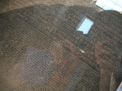 IMG_3200.jpg IMG_3200.jpg
