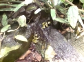 Aquaria Aquaria